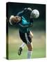 Soccer Goalie in Action-null-Stretched Canvas