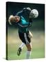 Soccer Goalie in Action-null-Stretched Canvas