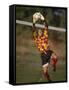 Soccer Goalie in Action-null-Framed Stretched Canvas