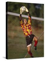 Soccer Goalie in Action-null-Stretched Canvas