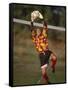 Soccer Goalie in Action-null-Framed Stretched Canvas