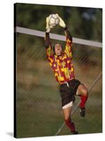 Soccer Goalie in Action-null-Stretched Canvas