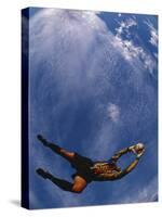 Soccer Goalie in Action-null-Stretched Canvas