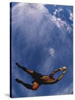 Soccer Goalie in Action-null-Stretched Canvas