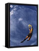 Soccer Goalie in Action-null-Framed Stretched Canvas