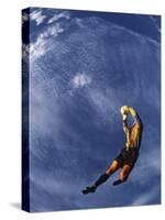 Soccer Goalie in Action-null-Stretched Canvas