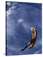 Soccer Goalie in Action-null-Stretched Canvas