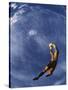 Soccer Goalie in Action-null-Stretched Canvas