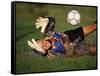 Soccer Goalie in Action-null-Framed Stretched Canvas