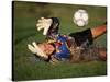 Soccer Goalie in Action-null-Stretched Canvas