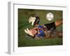 Soccer Goalie in Action-null-Framed Premium Photographic Print