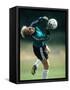 Soccer Goalie in Action-null-Framed Stretched Canvas