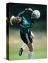 Soccer Goalie in Action-null-Stretched Canvas