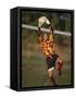 Soccer Goalie in Action-null-Framed Stretched Canvas