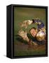 Soccer Goalie in Action-null-Framed Stretched Canvas