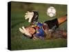 Soccer Goalie in Action-null-Stretched Canvas