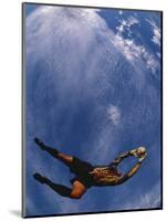 Soccer Goalie in Action-null-Mounted Premium Photographic Print