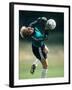 Soccer Goalie in Action-null-Framed Photographic Print