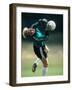 Soccer Goalie in Action-null-Framed Photographic Print