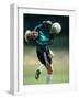 Soccer Goalie in Action-null-Framed Photographic Print