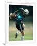 Soccer Goalie in Action-null-Framed Photographic Print