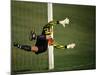 Soccer Goalie in Action-null-Mounted Photographic Print