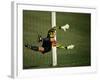 Soccer Goalie in Action-null-Framed Photographic Print