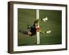 Soccer Goalie in Action-null-Framed Photographic Print