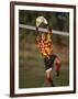 Soccer Goalie in Action-null-Framed Photographic Print