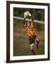 Soccer Goalie in Action-null-Framed Photographic Print