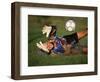 Soccer Goalie in Action-null-Framed Photographic Print