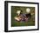 Soccer Goalie in Action-null-Framed Photographic Print