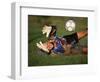 Soccer Goalie in Action-null-Framed Photographic Print