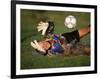 Soccer Goalie in Action-null-Framed Photographic Print