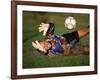 Soccer Goalie in Action-null-Framed Photographic Print