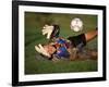 Soccer Goalie in Action-null-Framed Photographic Print