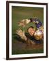 Soccer Goalie in Action-null-Framed Photographic Print