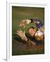 Soccer Goalie in Action-null-Framed Photographic Print