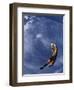 Soccer Goalie in Action-null-Framed Photographic Print