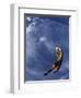 Soccer Goalie in Action-null-Framed Photographic Print