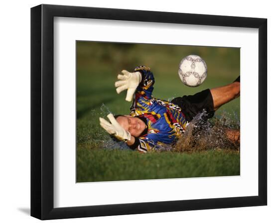 Premium Photographic Print, , large