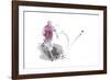 Soccer Player 04-Marlene Watson-Framed Giclee Print