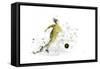 Soccer Player 09-Marlene Watson-Framed Stretched Canvas