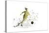 Soccer Player 09-Marlene Watson-Stretched Canvas