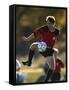 Soccer Player in Action-null-Framed Stretched Canvas