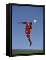 Soccer Player in Action-null-Framed Stretched Canvas