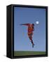 Soccer Player in Action-null-Framed Stretched Canvas