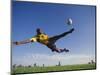 Soccer Player in Action-null-Mounted Photographic Print