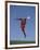 Soccer Player in Action-null-Framed Photographic Print