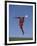 Soccer Player in Action-null-Framed Photographic Print